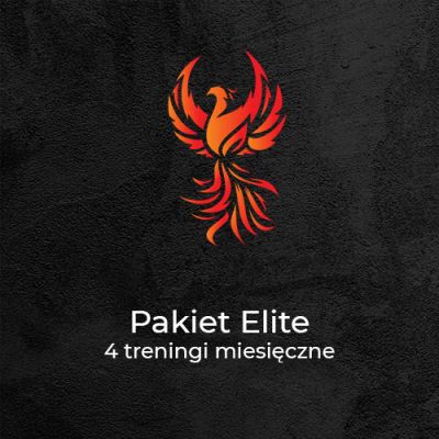 Pakiet Elite<br>4 treningi/miesiąc - Kalistenika i trening personalny Gliwice | Phoenix Workout