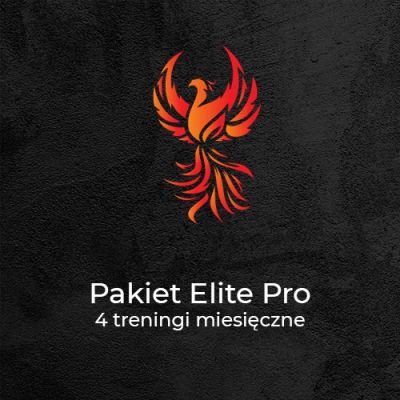 Pakiet Elite Pro<br>4 treningi/miesiąc - Kalistenika i trening personalny Gliwice | Phoenix Workout