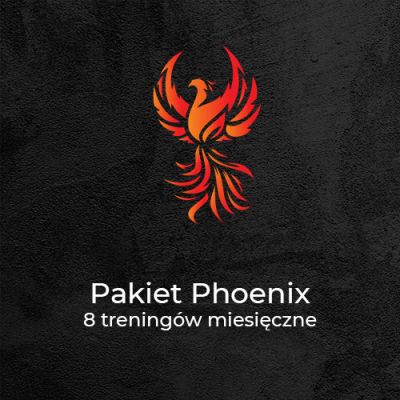 Pakiet Phoenix<br>8 treningów/miesiąc - Kalistenika i trening personalny Gliwice | Phoenix Workout