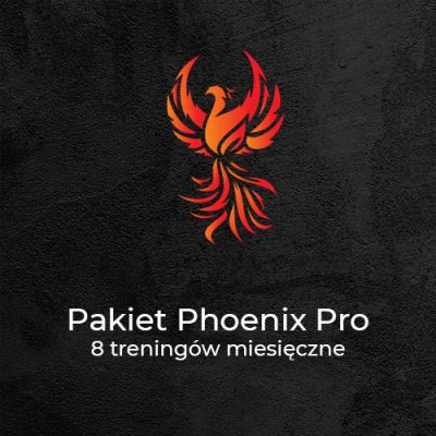 Pakiet Phoenix Pro<br>8 treningów/miesiąc - Kalistenika i trening personalny Gliwice | Phoenix Workout