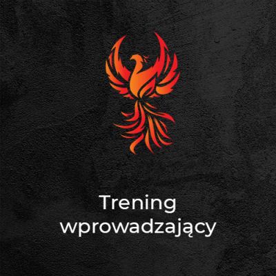 Diagnostyka lub trening jednorazowy - Kalistenika i trening personalny Gliwice | Phoenix Workout